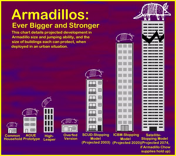 ARMADILLO GROWTH GRAPHIC